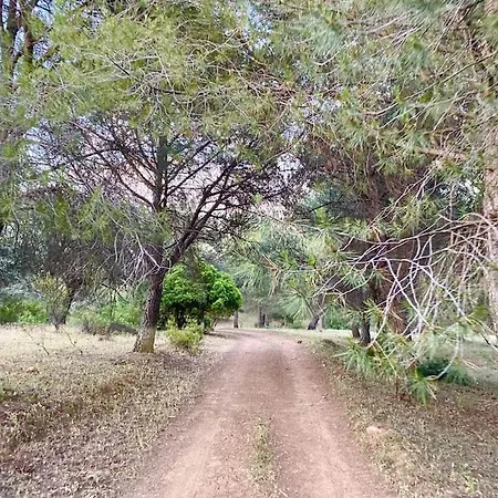 La Alcolehuela En Parque Natural De Despenaperros *