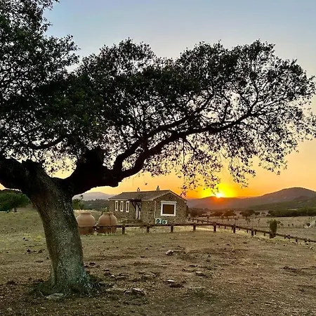 La Alcolehuela En Parque Natural De Despenaperros Hébergement de vacances *